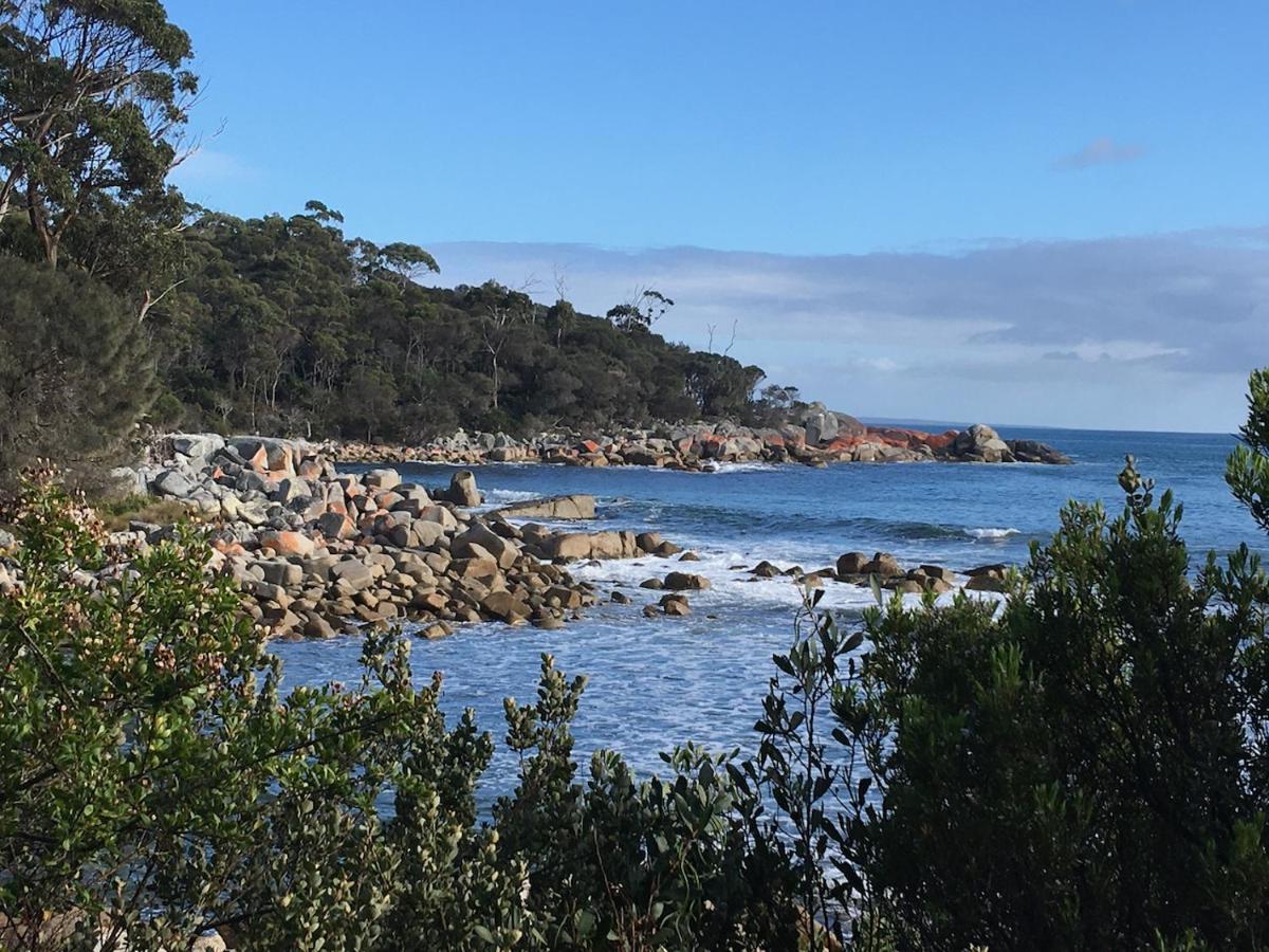 Villa Bay Of Fires Great Escape Binalong Bay Exterior foto