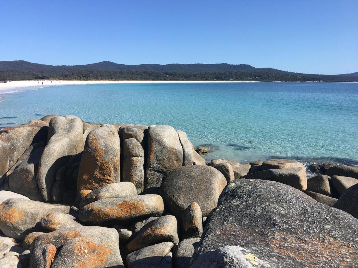 Villa Bay Of Fires Great Escape Binalong Bay Exterior foto